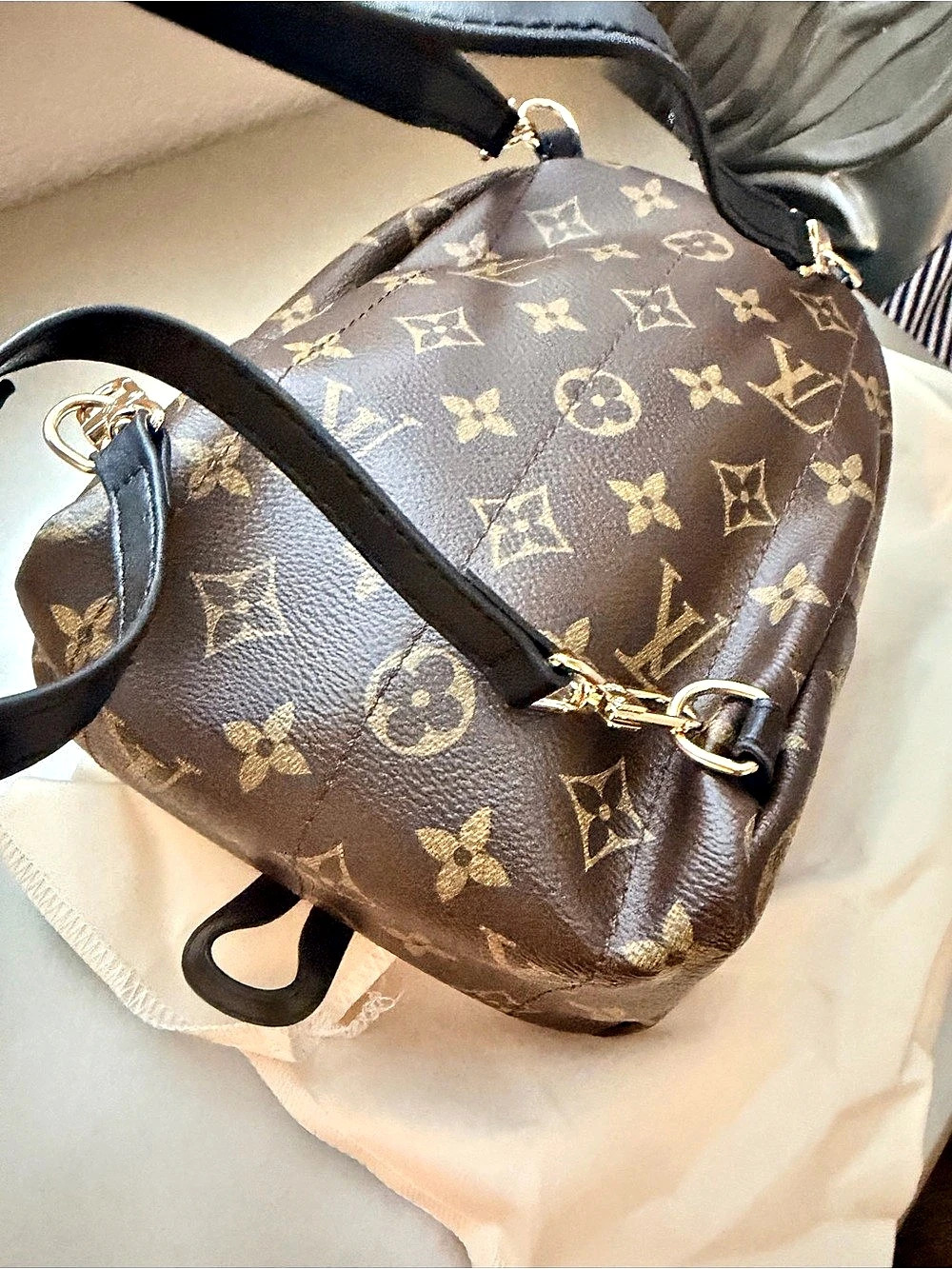 Monogram Palm Springs Mini Backpack - Picture 12 of 13